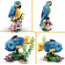 LEGO Creator 31136 Exotisk papegoja